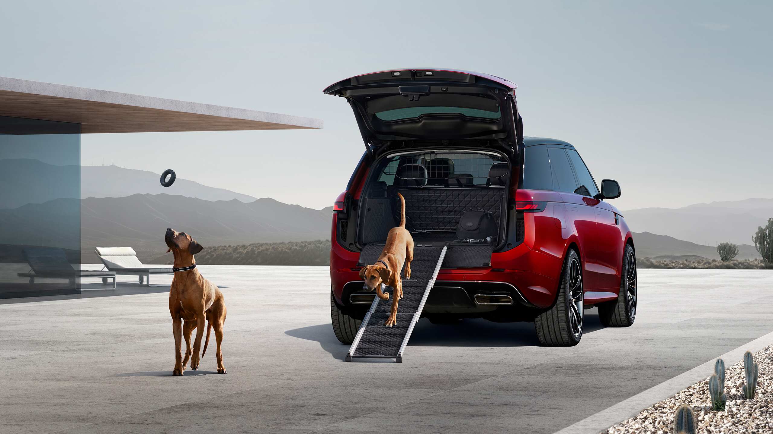 Red range rover sport with 2 dogs in the background